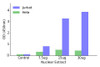 DP-2 Transcription Factor Activity Assay