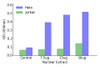 ELF5 Transcription Factor Activity Assay