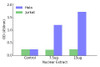 Meis1 Transcription Factor Activity Assay