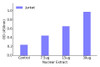 RFX2 Transcription Factor Activity Assay