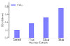 SP1 Transcription Factor Activity Assay