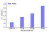 TBX1 Transcription Factor Activity Assay