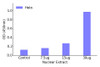 TBX18 Transcription Factor Activity Assay