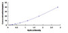 Rat Cathepsin S CTSS ELISA Kit