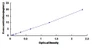 Human Cytovillin CVL ELISA Kit