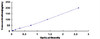 Equine Matrix Metalloproteinase 3 MMP3 ELISA Kit