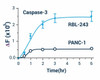 Cell Health Assays Caspase 3/7 Assay Kit Fluorometric BA0020