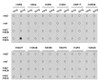 Epigenetics and Nuclear Signaling Antibodies 3 Anti-Symmetric DiMethyl-Histone H3-R2 Antibody CAB2373