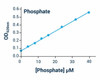 Signaling Pathway Assays Malachite Green Assay BA0164