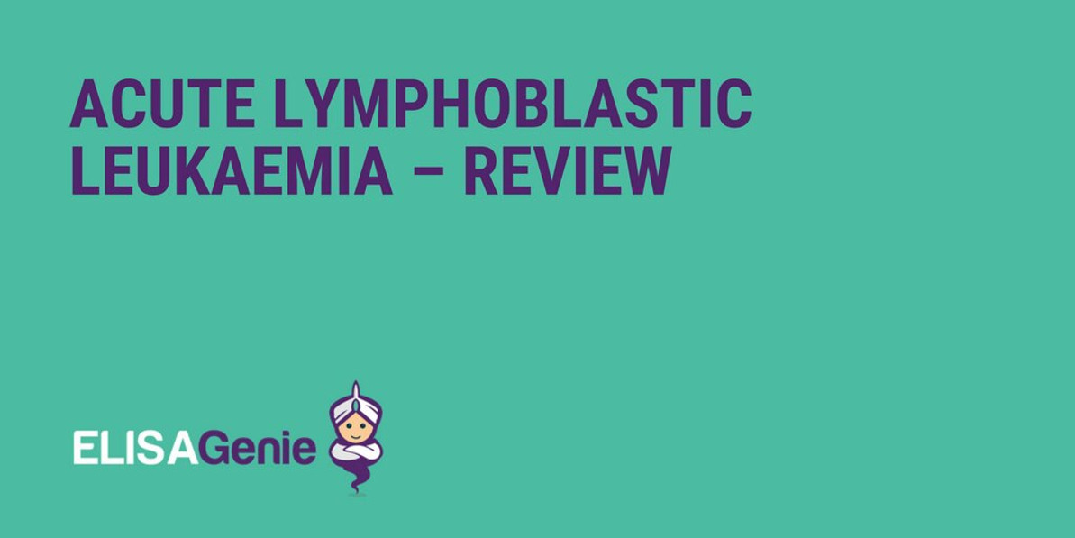 Acute Lymphoblastic Leukaemia Review | Assay Genie