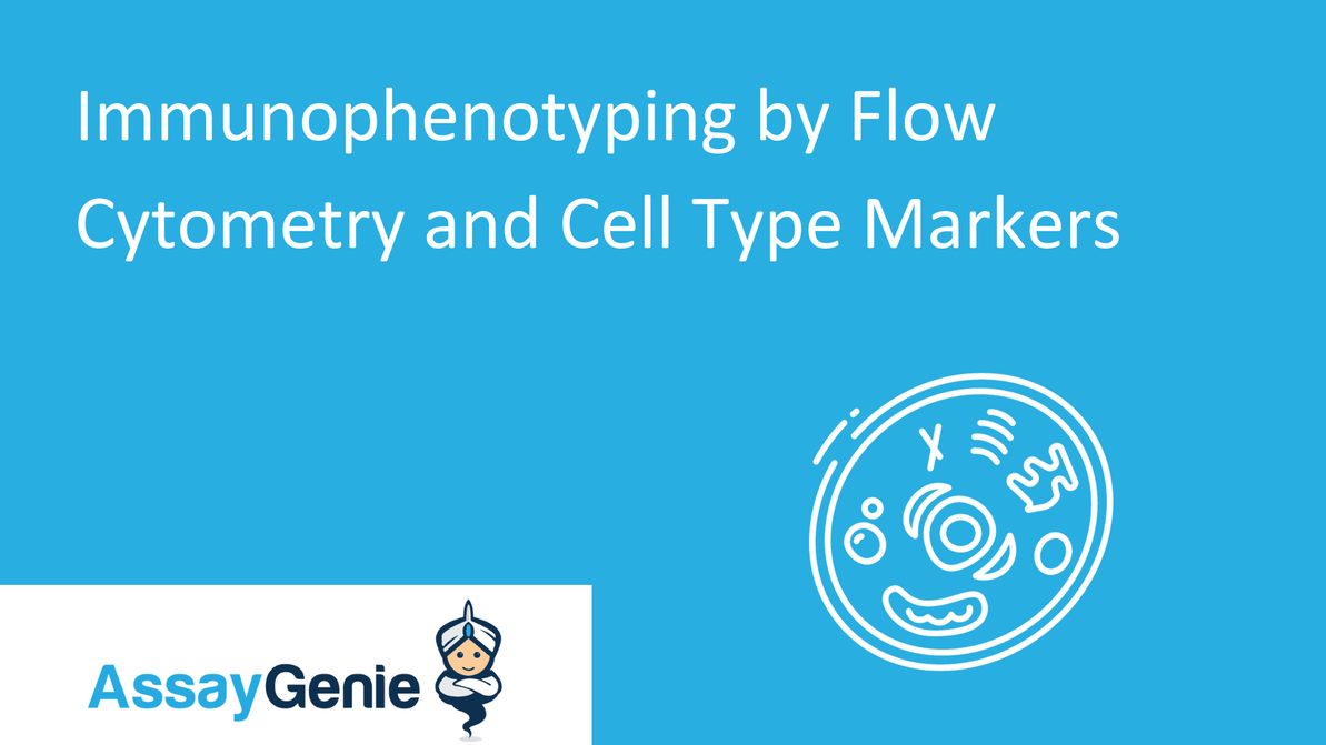Immunophenotyping by Flow Cytometry and Cell Type Markers Assay Genie