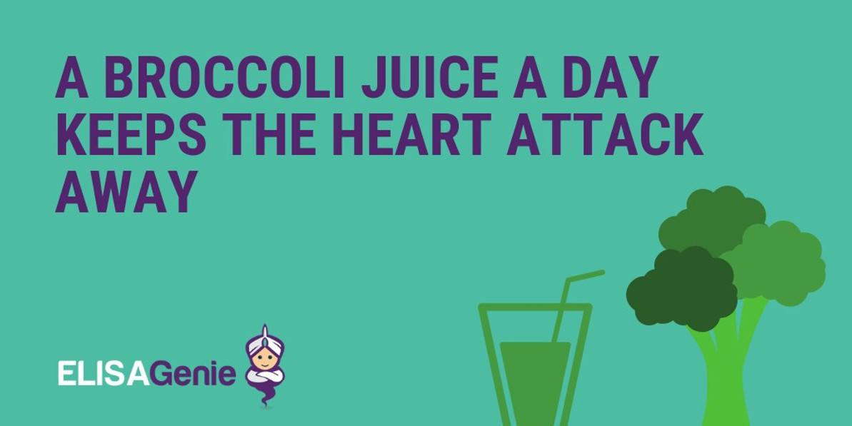 A broccoli juice a day keep the heart attack away