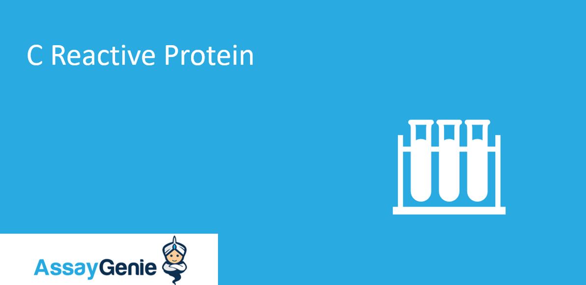 C reactive protein