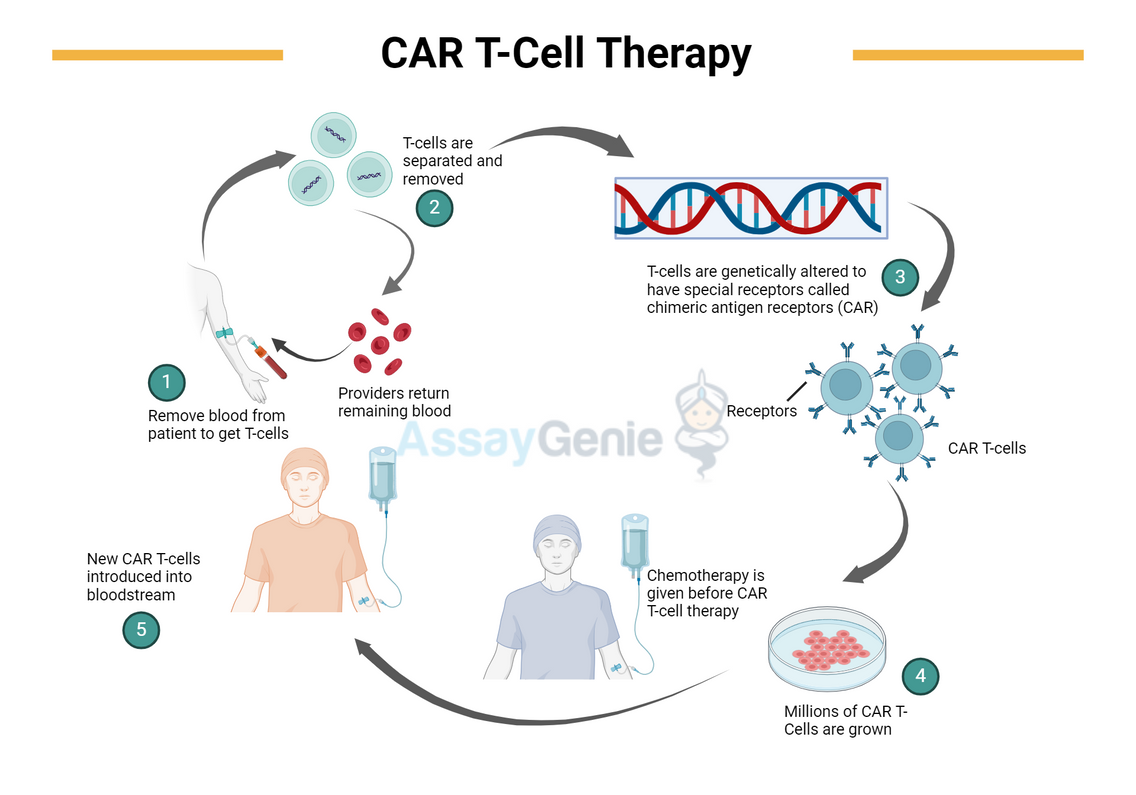 What is CAR T-cell therapy?