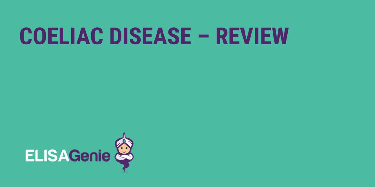 Coeliac Disease Signaling – Review | Assay Genie