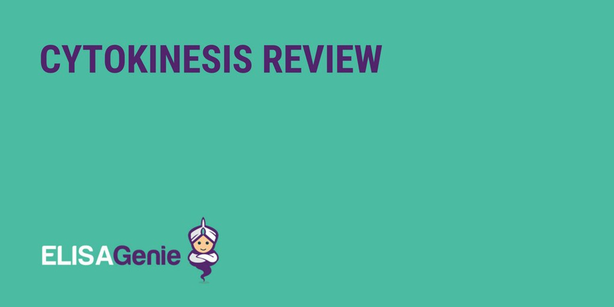 Cytokinesis review