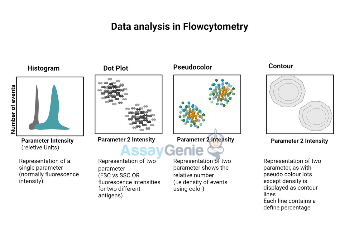 Data Analysis in Flow Cytometry: Harnessing Complexity for Scientific Insight