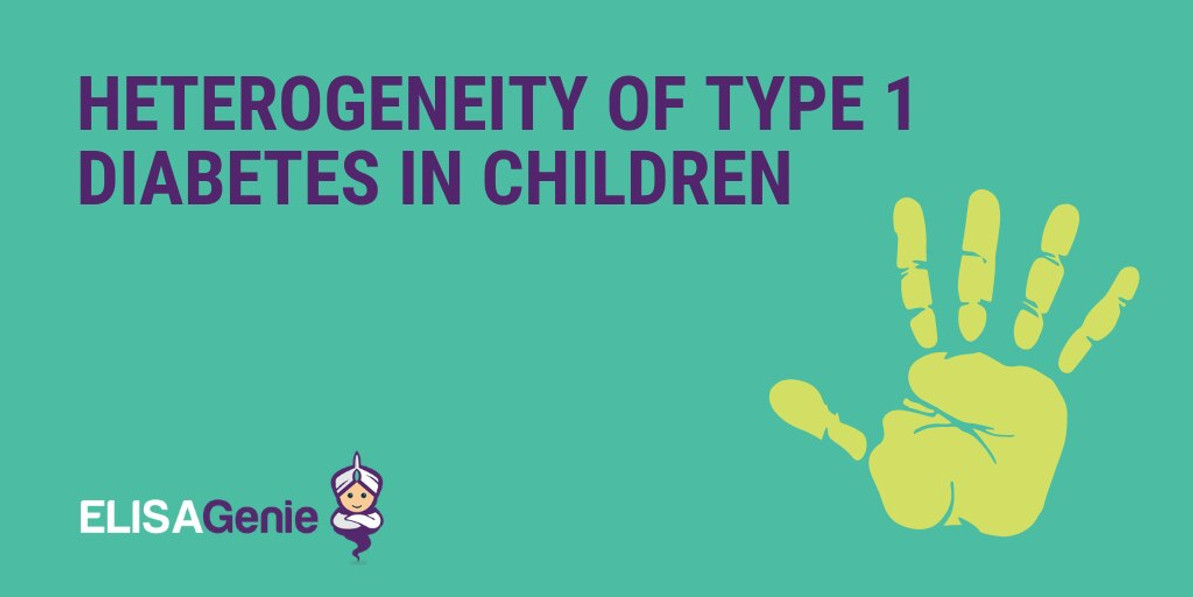 Heterogeneity of Type 1 diabetes in children