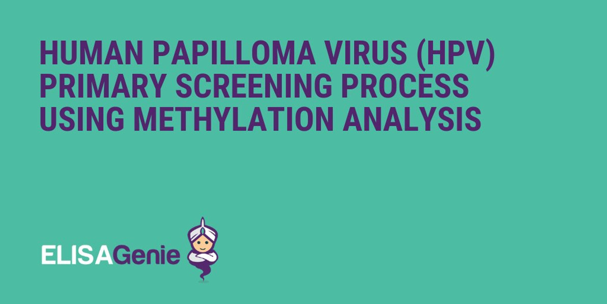 Human Papilloma Virus (HPV) Methylation Analysis