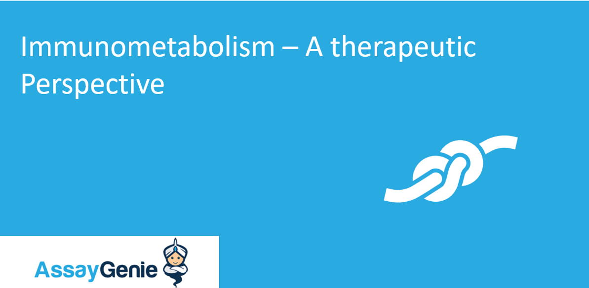 Immunometabolism – A therapeutic perspective