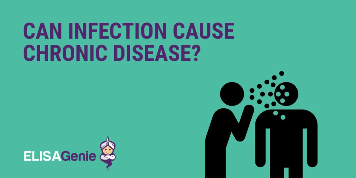 Can infection cause chronic disease?