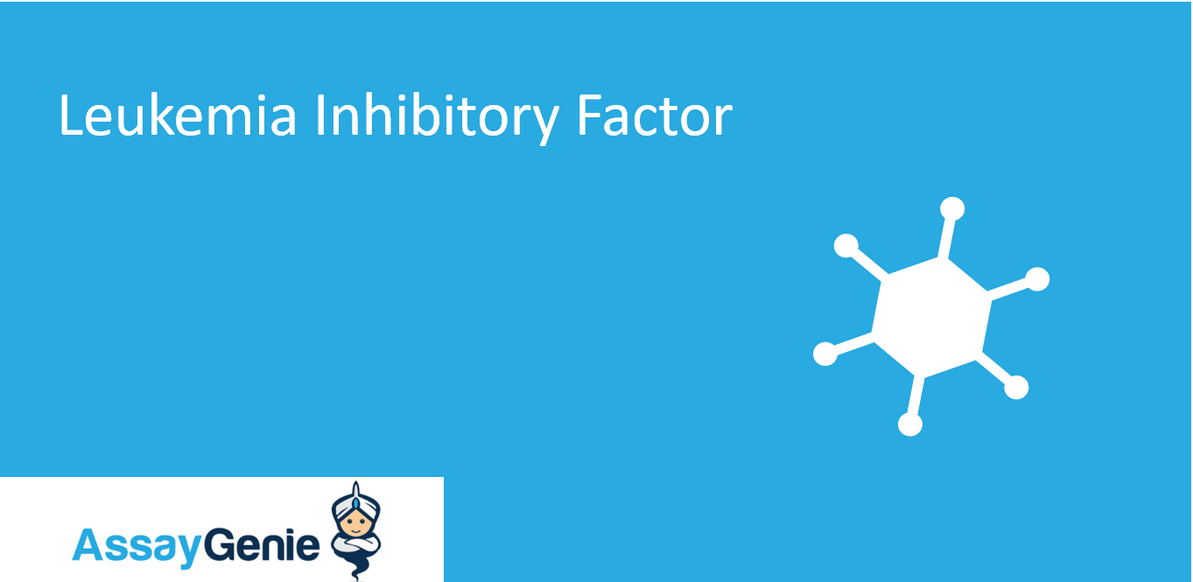 Leukemia Inhibitory Factor (LIF)