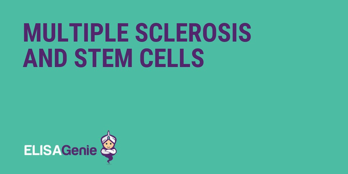 Multiple Sclerosis and Stem Cells - Assay Genie