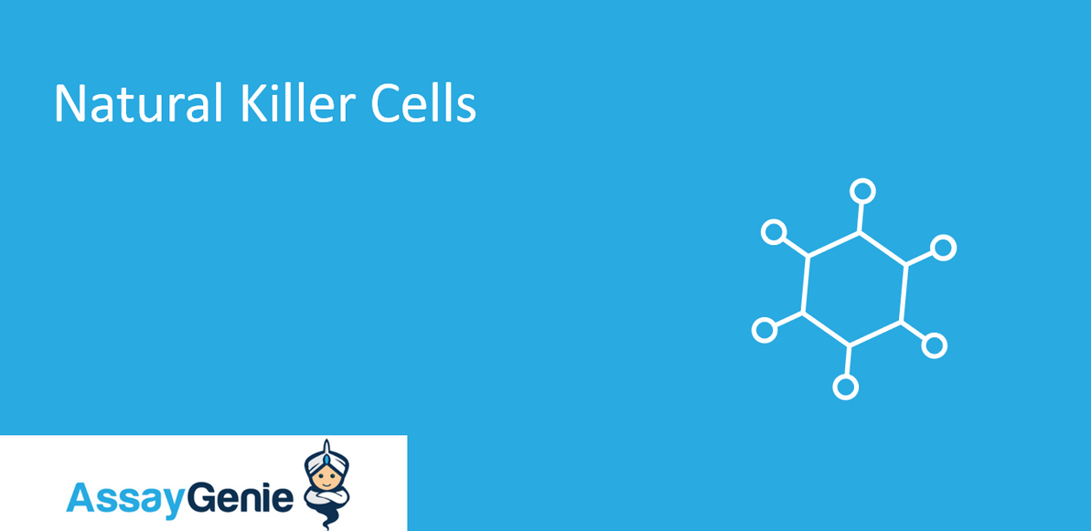 Natural Killer Cells: A Guide