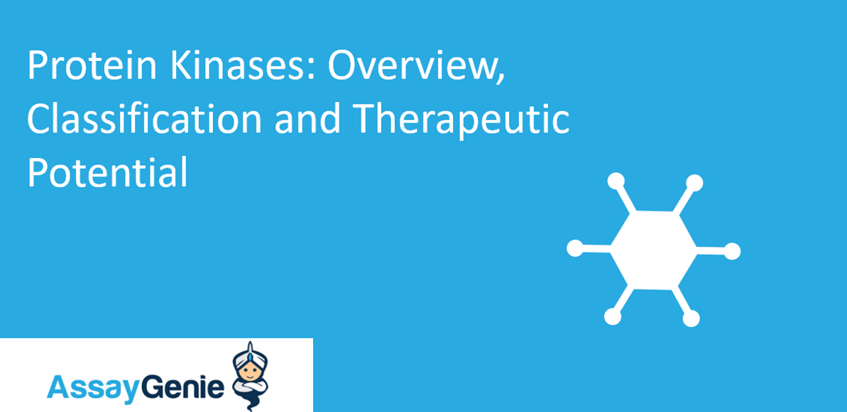 Protein Kinases: Overview, Classification and Therapeutic