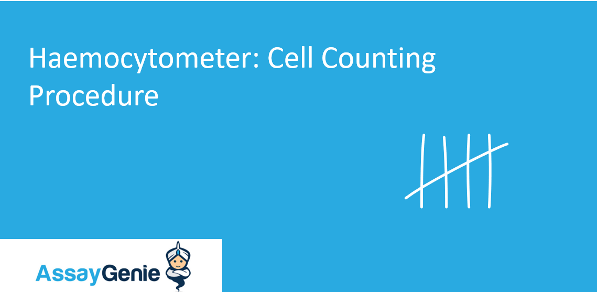 Hemocytometer Cell Counting Procedure