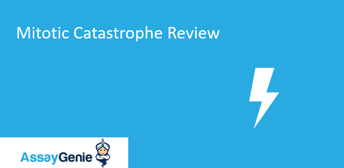 Mitotic Catastrophe Review