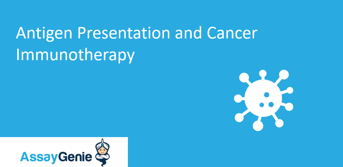 Antigen Presenting Cells (APCs) and cancer immunotherapy