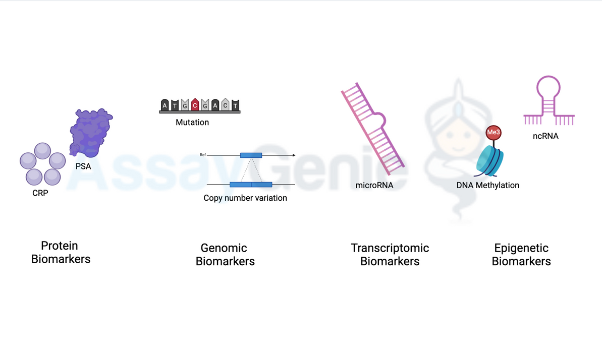 Biomarker Testing: Advancements, Applications, and Future Directions