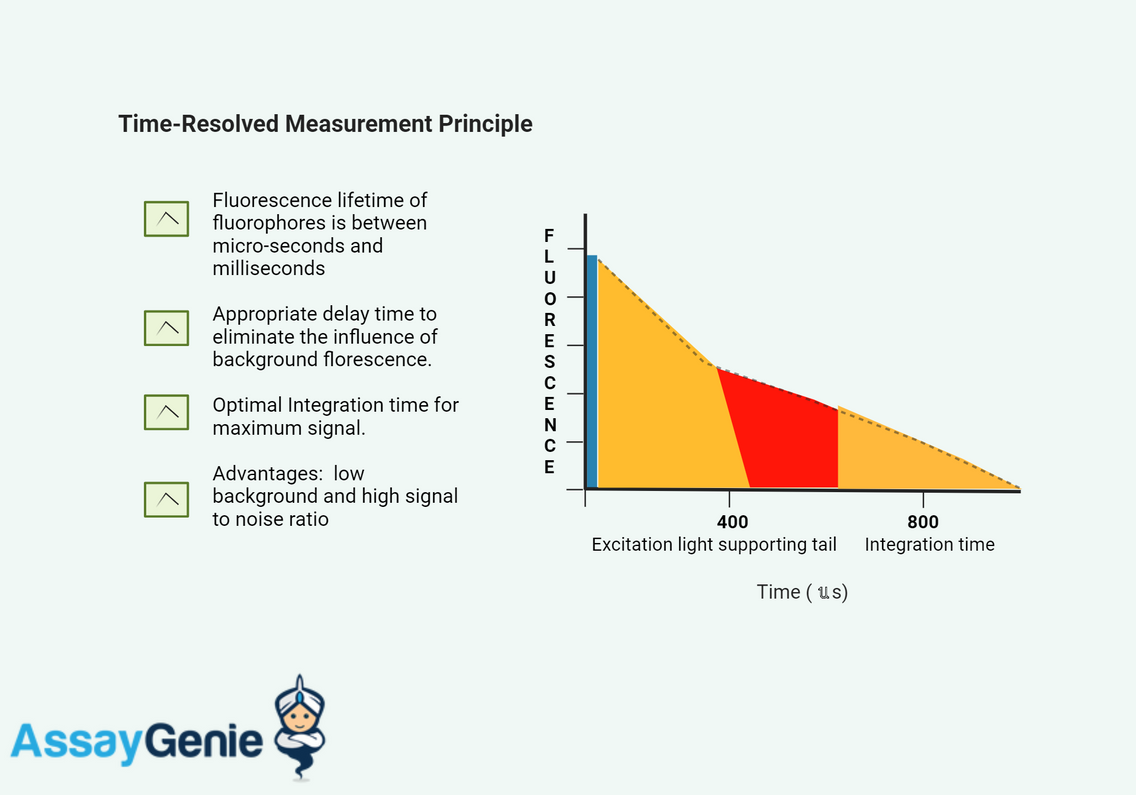 Time-Resolved Fluorescence (TRF): A Comprehensive Introduction