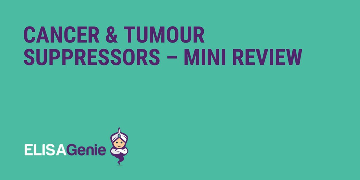 Cancer & Tumour Suppressors – Mini Review