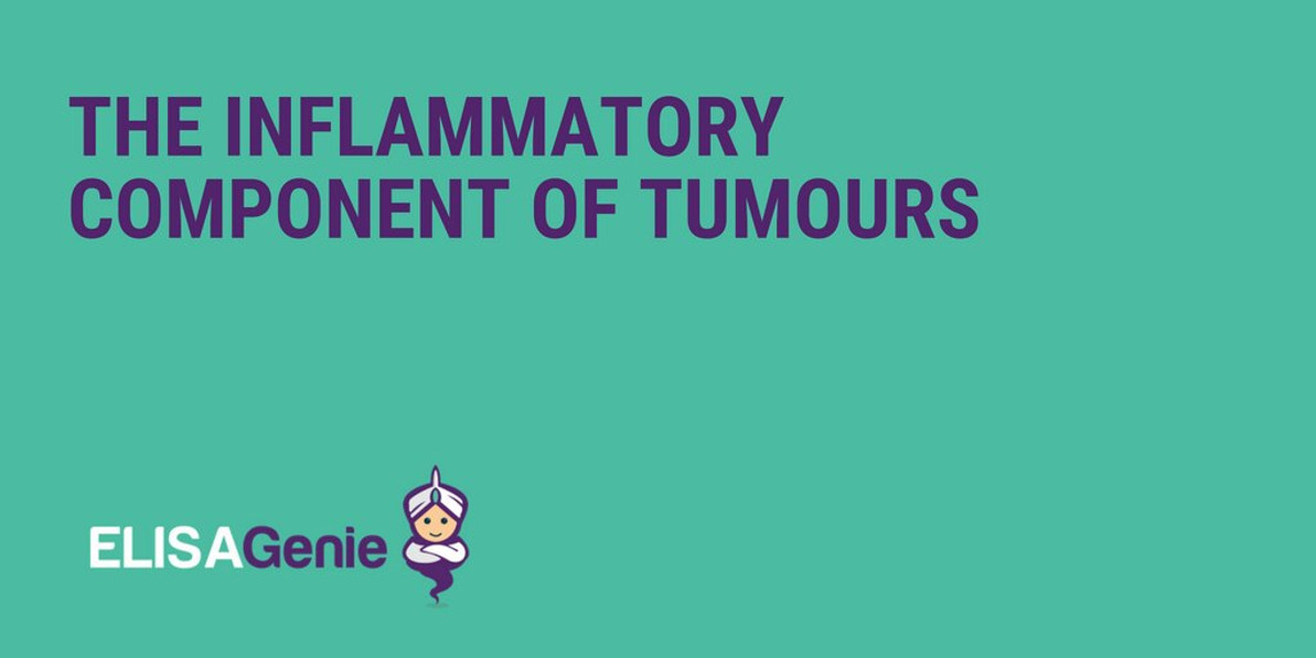 Tumour Inflammation & Signaling | Assay Genie