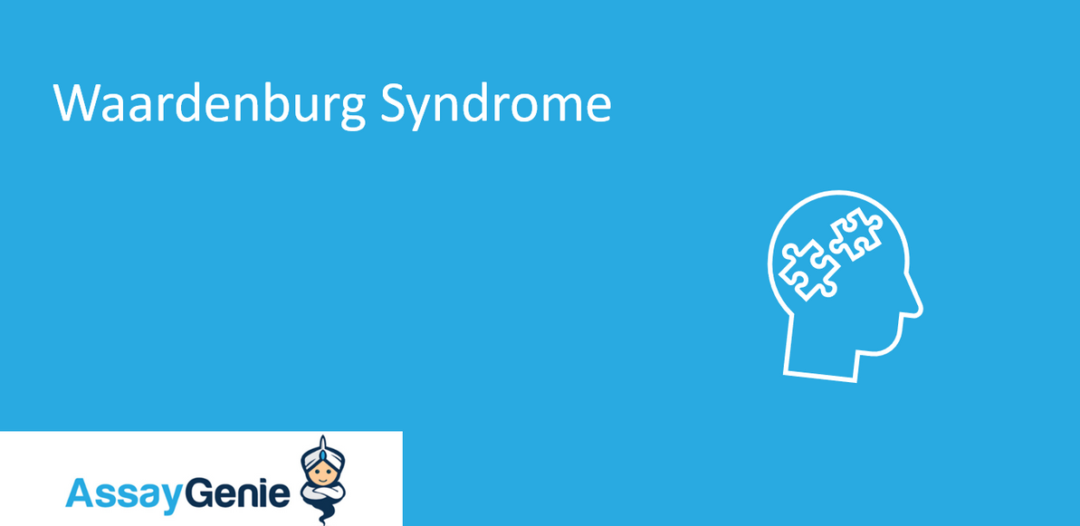 Waardenburg Syndrome and Klein-Waardenburg Syndrome