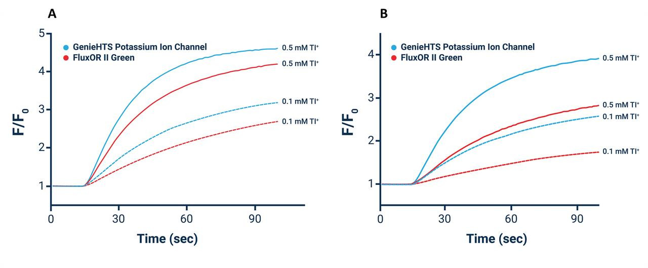 GenieHTS Potassium Ion Channel Assay