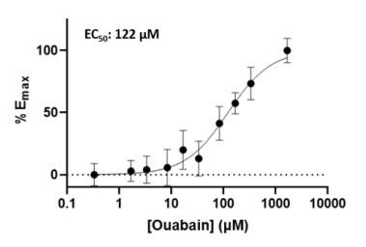 GenieHTS Sodium Flux Assay Kit