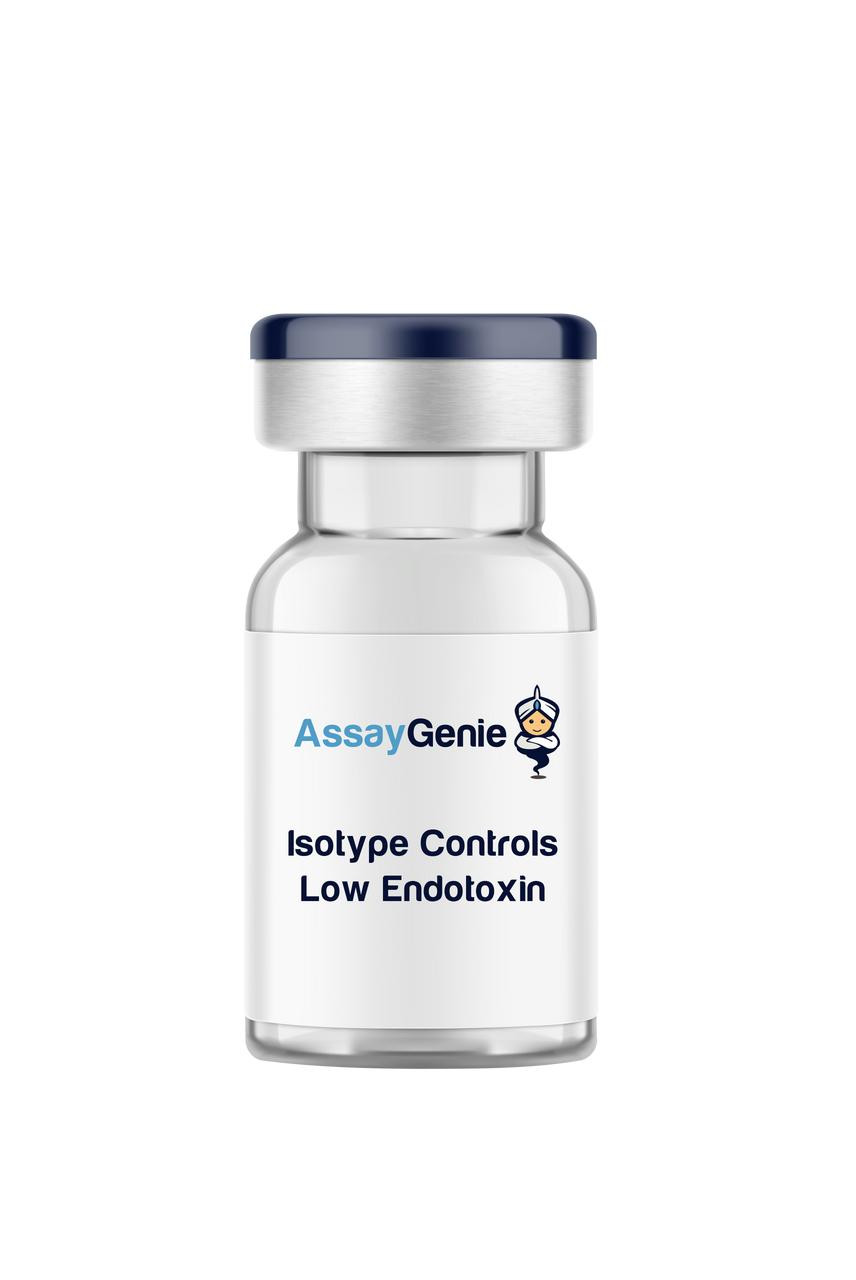 Rat IgG2a Isotype Control - Low Endotoxin (IVMB0198)