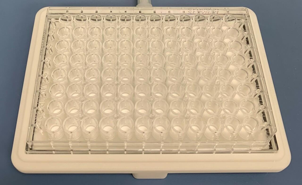 GENE グッズ 4/15(土)＆4/16(日)愛知公演】『GENERATIONS 10th ANNIVERSARY YEAR