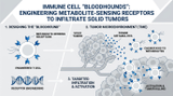 Immune Cell 'Bloodhounds': Engineering Metabolite-Sensing Receptors to Infiltrate Solid Tumors