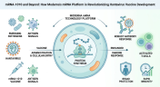 mRNA-1010 and Beyond: How Moderna's mRNA Platform is Revolutionizing Hantavirus Vaccine Development