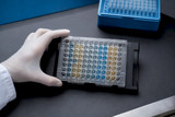Avant le premier pipetage : plan expérimental ELISA, modèles copiables