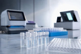 5 variables para decidir rápido si usar PCR o ELISA para investigadores