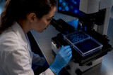 Anticuerpos validados con KO y ensayo ortogonal para investigadores
