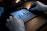 Validate Western Blot Antibodies: Datasheet Checks Labs Should Ask