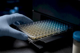 Calculer et valider la limite de détection d'un ELISA en laboratoire