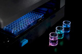 Multiplex vs elisa: qué técnica conviene según tu ensayo