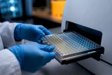 Kreuzreaktivität ELISA: Praxisleitfaden für Forschende